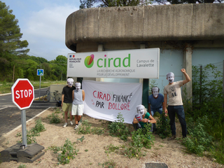 Montpellier, retour à la CIRAD et réponse au directeur