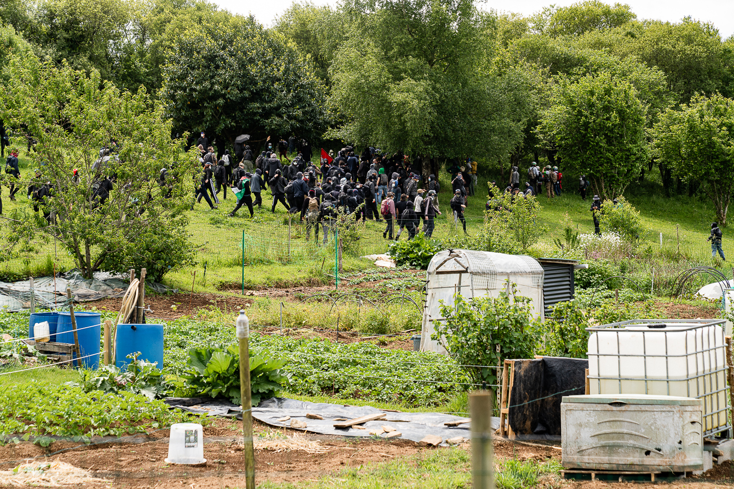 Convergence navale, village antifasciste et pique-nique tonique : retour sur deux jours de mobilisation contre Bolloré et son monde dans le Finistère